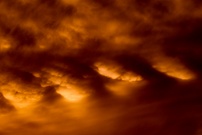 ~ Abendrot ~