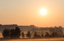 Nebelstimmung am Morgen