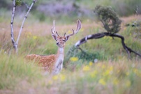 Neugieriger Blick