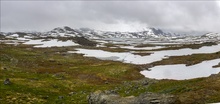 Summertime im Rondane NP