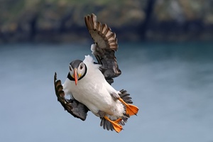 im Anflug