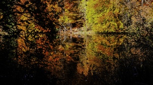 Ein Weiher im Herbstwald