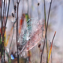 Herbstbunt