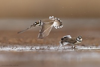 Abflug