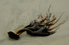 Die Urgewalt der Natur...