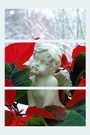 Advent, Advent