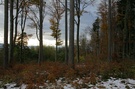 winterlicher Herbst auf dem Gempen