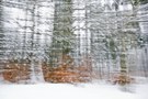 Winterwald(wischer)