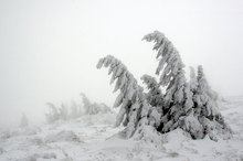 Winter auf dem Brocken