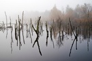 Morgennebel im Großen Moor bei Vechta