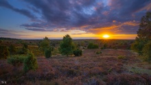 Lüneburger Heide ...