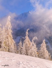 Der Herbst vom Winter überrascht