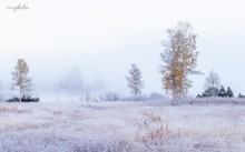 An einem frischen Herbstmorgen