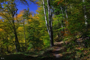 Herbstfarben ...