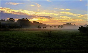 *Morgenstimmung*