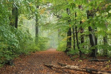 Herbstspaziergang