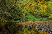 Herbststimmung am Üßbach