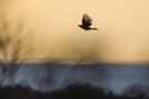 Noch ein kleiner Ausflug am Abend