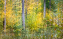 Herbstlich