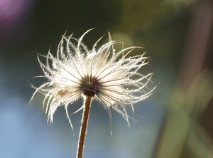 .. Nachlese ...