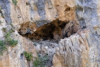 Die Geierhöhle