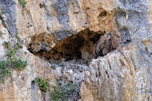 Die Geierhöhle