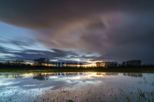 Hochwasser in den Rheinwiesen