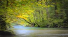 Ein Flüsschen im Wald als "Wischer"