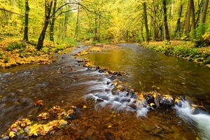 Der Zusammenfluss