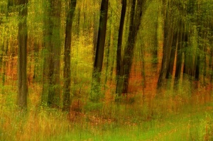 Herbstwischer