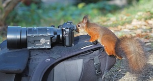 Und was sieht man da?