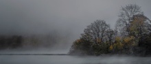 Novembermorgen an der Mosel