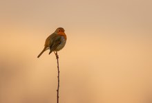 Begrüßung am Morgen