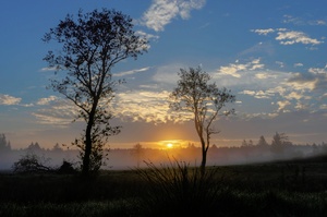 Sonnenaufgang im Hohen Venn