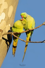 Kuscheln in der Februarsonne