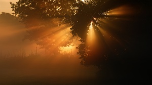 wegen des Bodennebels