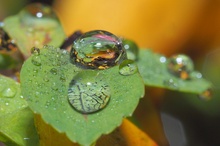 Herbstliches Allerlei