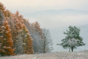 Herbst und Winter