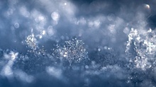 Schneeschmelze