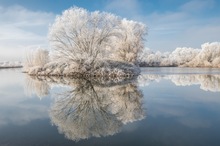 Rauhreif an der Weser