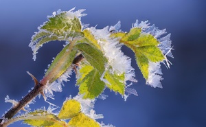 Noch ein bißchen Herbst,