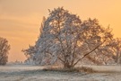 Winter auf der Storchenwiese