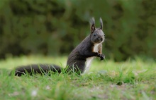 Hey, schon wieder da?