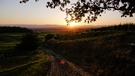 Sonnenuntergang hinter den Vogesen