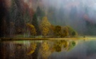 Herbst am Feldsee im Schwarzwald