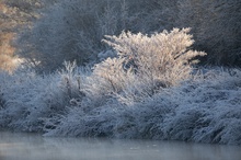 ein frostiger Morgen