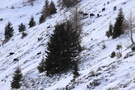 Ruhe vor dem Sturm