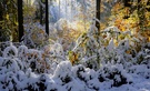 Winterfarben