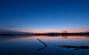 Hochwasser am Niederrhein