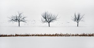 Winterimpression ...,